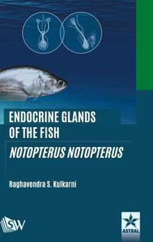 Endocrine Glands of the Fish: Notopterus Notopterus