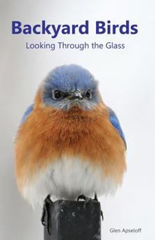 Paperback Backyard Birds: Looking Through the Glass Book