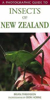 Paperback A Photographic Guide to Insects of New Zealand Book