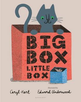 Hardcover Big Box Little Box Book