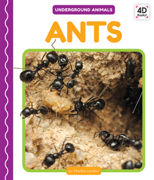 Library Binding Ants Book