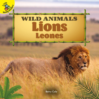 Board book Lions: Leones [Spanish] Book