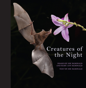 Hardcover Creatures of the Night Book