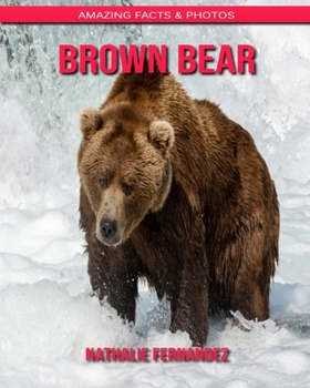 Brown Bear: Amazing Facts & Photos