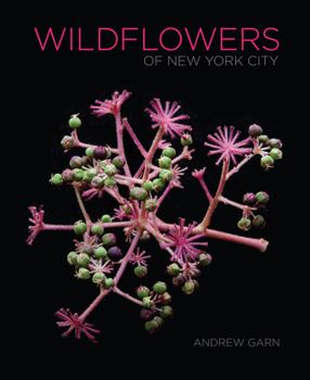 Hardcover Wildflowers of New York City Book