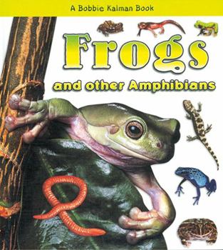 Hardcover Frogs and Other Amphibians Book