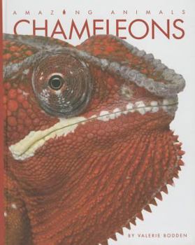 Chameleons - Book  of the Amazing Animals