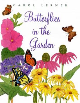 Hardcover Butterflies in the Garden Book