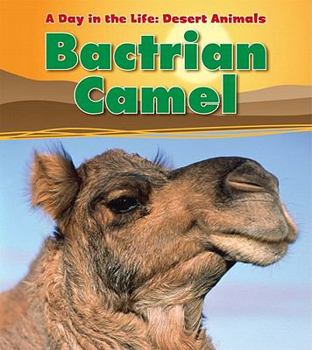 Hardcover Bactrian Camel Book