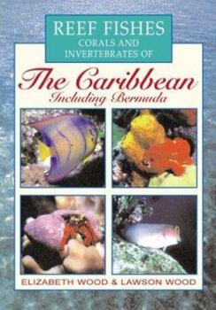 Paperback Reef Fishes Corals and Invertebrates of the Caribbean Book