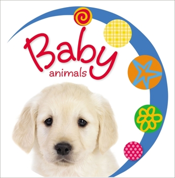 Board book Baby Loves Baby Animals Book