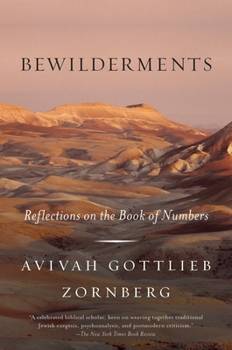 Paperback Bewilderments: Reflections on the Book of Numbers Book