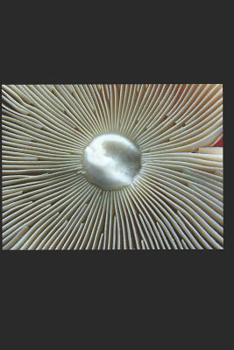 Paperback The Initiates Book