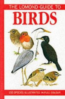 Paperback Lomond Guide to Birds Book