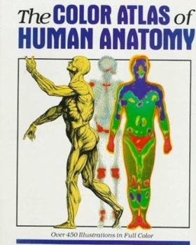 Paperback The Color Atlas of Human Anatomy: Nuovo Atlante del Corpo Umano. Book