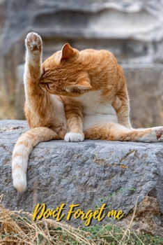 Paperback Don't Forget Me: Cat Take care Itself.Internet Password Logbook with alphabetical tabs.Personal Address of websites, usernames, passwor [Large Print] Book