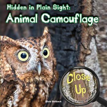 Paperback Hidden in Plain Sight (Close-Up on Amazing Animals) Book
