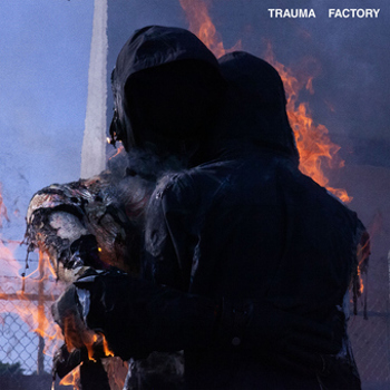 Vinyl Trauma Factory Book