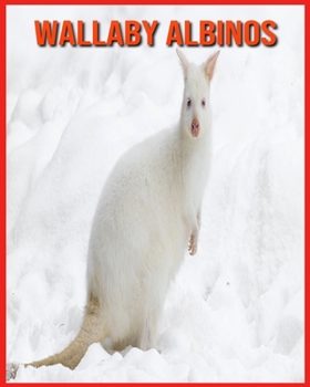 Wallaby Albinos: Informations Int?ressantes Concernant les Wallaby Albinos
