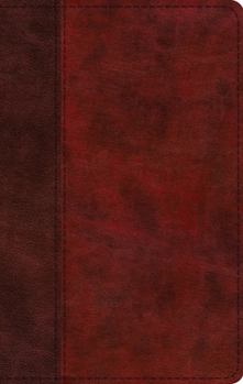 Imitation Leather ESV Large Print Thinline Bible (Trutone, Burgundy/Red, Timeless Design) [Large Print] Book