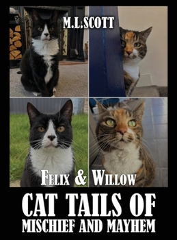 Hardcover Felix & Willow cat tails of mischief and mayhem Book