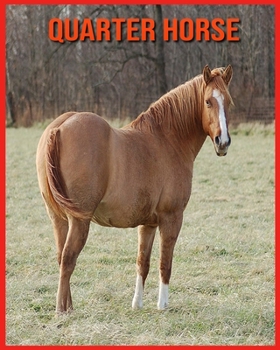 Paperback Quarter Horse: Images Etonnantes & Informations Amusantes Concernant les Animaux dans la Nature [French] Book