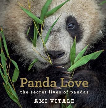 Hardcover Panda Love: The Secret Lives of Pandas Book