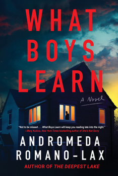 Hardcover What Boys Learn Book