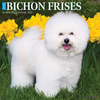 Calendar Just Bichons Frises 2023 Wall Calendar Book