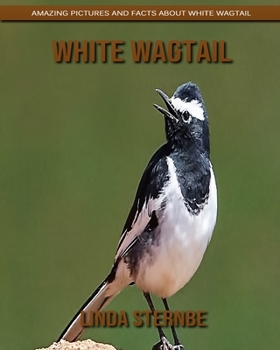 Paperback White Wagtail: Amazing Pictures and Facts About White Wagtail Book