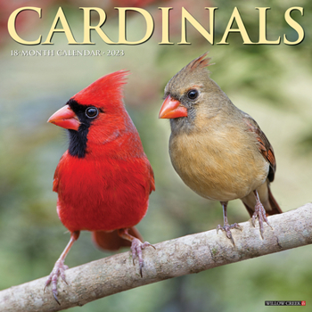 Calendar Cardinals 2023 Wall Calendar Book