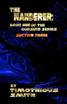 Paperback The Wanderer: Book One of the Godsend Series Section 3 Book