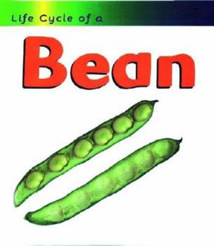 Life Cycle of a Bean (Heinemann First Library) - Book  of the Life Cycle of a...