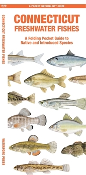 Paperback Connecticut Freshwater Fishes Book