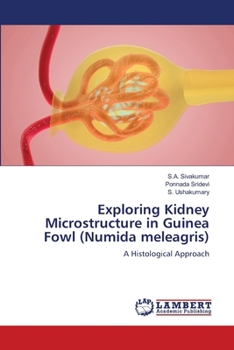Paperback Exploring Kidney Microstructure in Guinea Fowl (Numida meleagris) Book