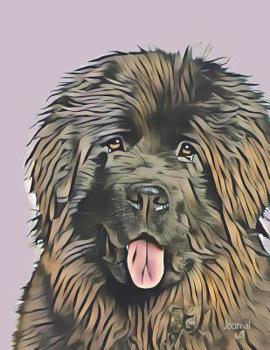 Paperback Journal: Beautiful Newfoundland Dog Notebook Wide Ruled Book