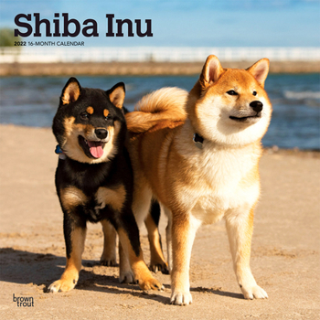 Calendar Shiba Inu 2022 Square Book