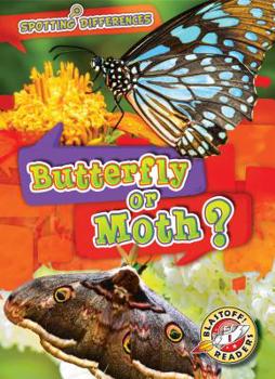 Butterfly or Moth? - Book  of the Scholastic: Blastoff! Spotting Differences