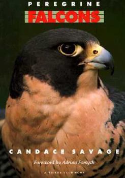 Paperback Peregrine Falcons Book