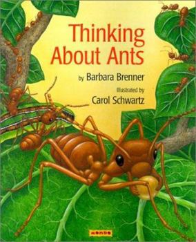 Hardcover Thinking About Ants Book