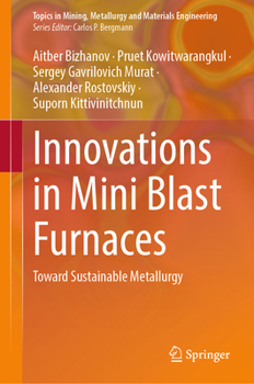 Hardcover Innovations in Mini Blast Furnaces: Toward Sustainable Metallurgy Book