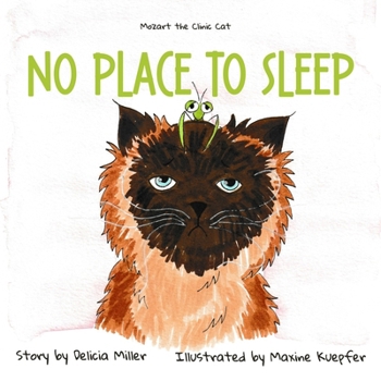 Paperback No Place to Sleep Book