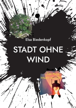 Paperback Stadt ohne Wind: Gedichte [German] Book