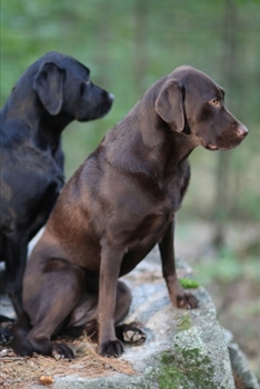 2020 Weekly Planner Labrador Retrievers Outside 134 Pages: 2020 Planners Calendars Organizers Datebooks Appointment Books Agendas