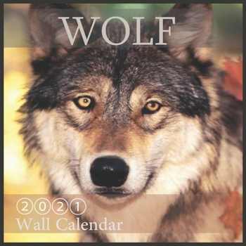 Paperback Wolf 2021 Wall Calendar: Animal Calendars, "8.5x8.5" Inch, 16 Month with Official Holidays Book