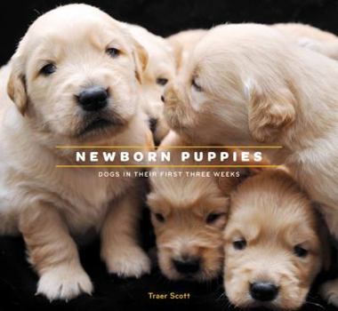 Hardcover Newborn Puppies: Dogs in Their First Three Weeks Book