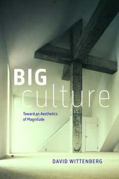 Big Culture: Toward an Aesthetics of Magnitude