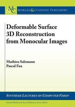 Paperback Deformable Surface 3D Reconstruction from Monocular Images Book