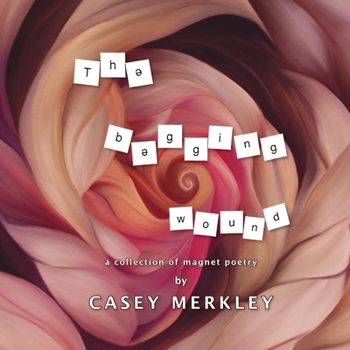 Paperback The Begging Wound Book