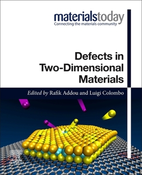 Paperback Defects in Two-Dimensional Materials Book